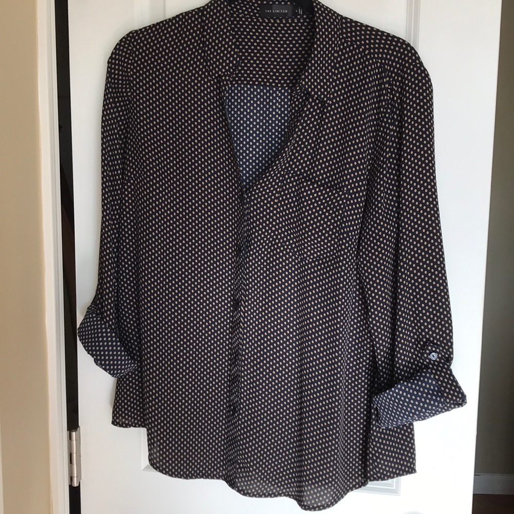 The Limited size L Button down